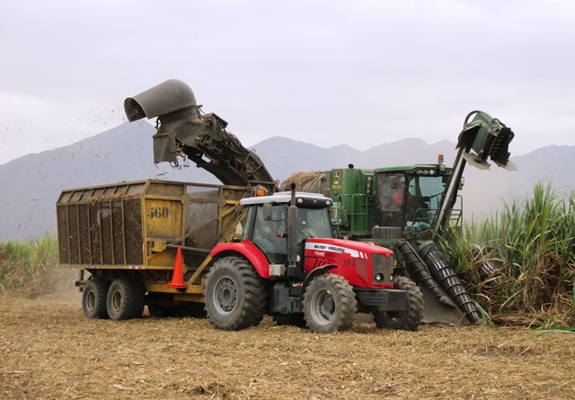 La empresa azucarera informó que cuenta con maquinaria que permite cosecha en verde para evitar quema de caña de azúcar.