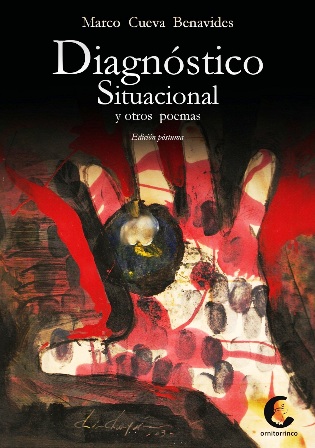 libro-diagnostico-situacional