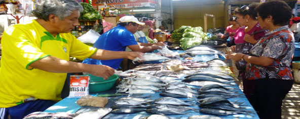 venta-pescado-portada