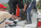 Randy Garay Alca murió en fatal accidente de tránsito en el Valle del Santa.