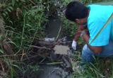 Foto: Servicio de Serenazgo de Nuevo Chimbote