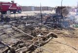 Foto: Servicio de Serenazgo Nuevo Chimbote
