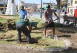 Personal de Parques y Jardines de la MPS inició hoy la limpieza y mantenimiento de la Plaza de Armas.