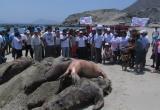 El electo alcalde de Nuevo Chimbote, Valentín Fernández, con militantes de Andemar limpiaron el circuito de playas del distrito.(Fotos cortesía)
