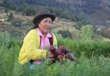 Este 8 de Marzo se celebra el Día Internacional de la Mujer y hacemos un homenaje a la mujer peruana trabajadora.