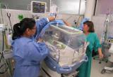 De esta cifra se reportó 45 bebés prematuros que perdieron la vida por diversas patologías.