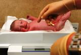 En su primera etapa se otorgará seguro gratuito a los recién nacidos en diciembre y a las madres gestantes. foto: internet