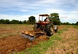 Sector Agropecuario aumentó 1,58% en agosto según INEI