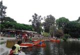 Foto: Facebook Vivero Forestal