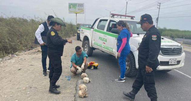 (Foto cortesía PNP)