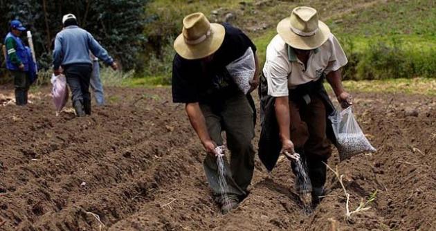 El Año de la Inversión para el Desarrollo Rural y la Seguridad Alimentaria está pasando sin pena ni gloria.
