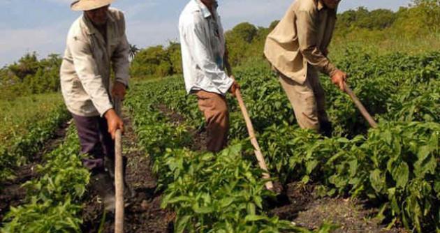 El Año Internacional de la Agricultura Familiar 2014 es una iniciativa promovida por el Foro Rural Mundial.