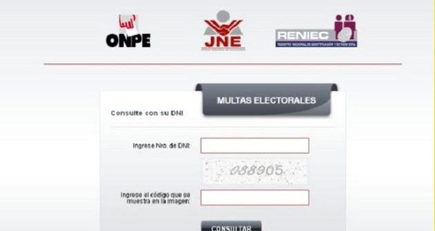 Esta es la única ficha para hacer consultas a través del portal del JNE.
