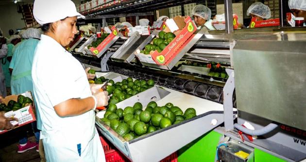 Foto: cortesía Andina