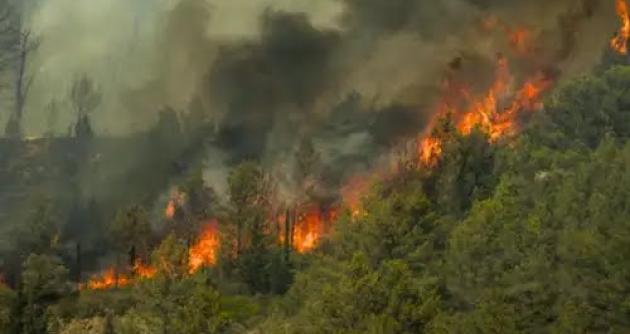 Foto: cortesía La República
