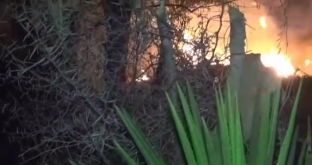 Foto captura video