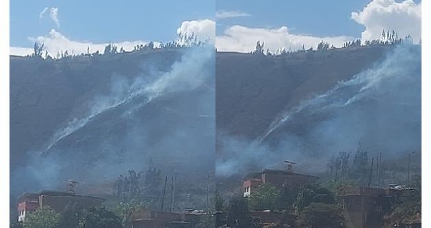 (Foto cortesía Coer)