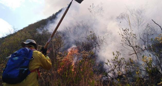 Foto: Cortesía Gonzalo Horna