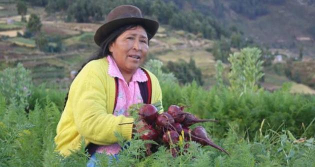Este 8 de Marzo se celebra el Día Internacional de la Mujer y hacemos un homenaje a la mujer peruana trabajadora.