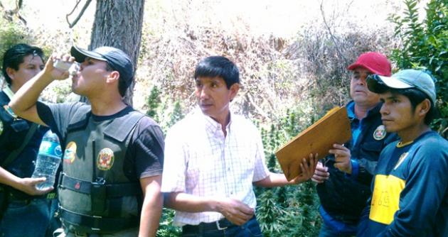 Durante la intervención incineraron 7 mil plantones de marihuana.