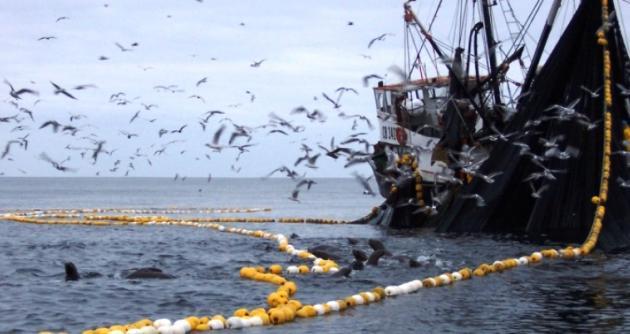 Se viene fenómeno El Niño en el litoral peruano.