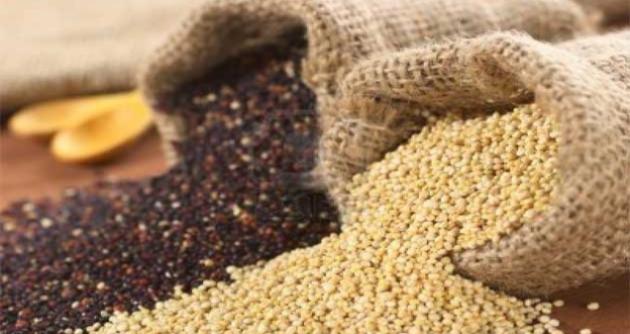 Foto: sierraexportadora.gob.pe