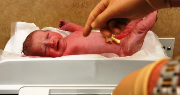 En su primera etapa se otorgará seguro gratuito a los recién nacidos en diciembre y a las madres gestantes. foto: internet