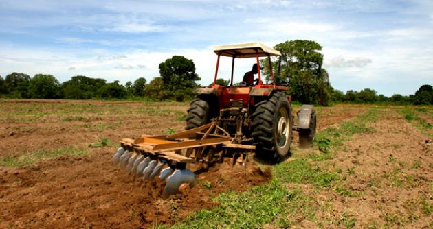 Sector Agropecuario aumentó 1,58% en agosto según INEI