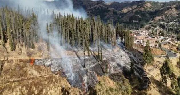 Foto: cortesía Andina