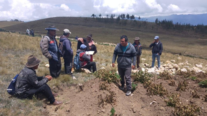 Agricultores de Áncash podrán recibir reembolsos por daños catastróficos en sus sembríos
