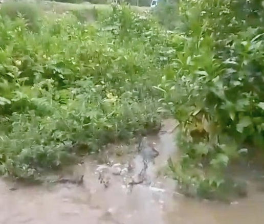 Áncash: inundación por desborde del río Grande afectó cultivos y viviendas en Pariacoto