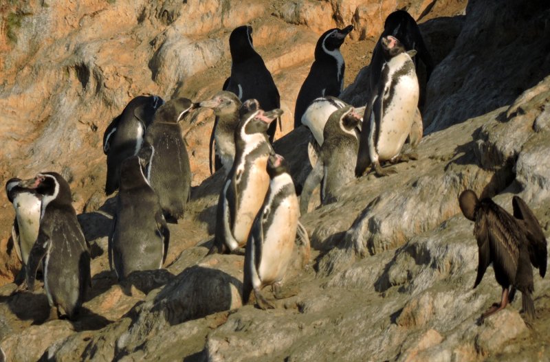 Semana Santa: 2x1 para visitar 16 áreas naturales y armar rutas desde Lima, norte y sur del país