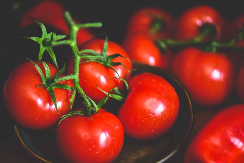 Establecen requisitos de calidad para las hortalizas de consumo humano