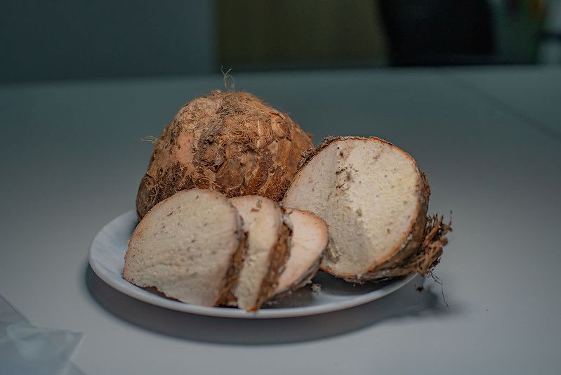 Becario crea envases biodegradables con tubérculo originario del VRAEM