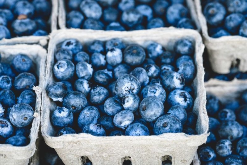 Pymes exportadoras buscarán nuevos mercados en la Expoalimentaria 2026