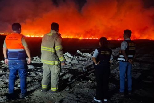 Incendio forestal consume más de 10 hectáreas de humedales en Nuevo Chimbote