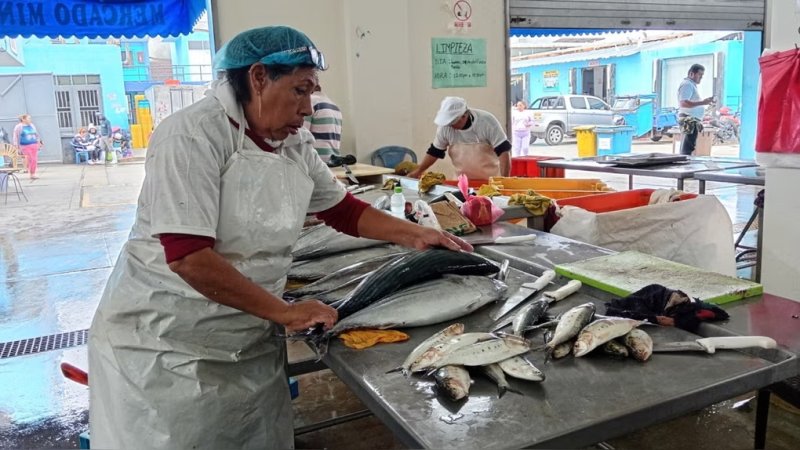 Chimbote: pescadores artesanales afrontan pérdidas por oleajes anómalos y escasez de recursos marinos