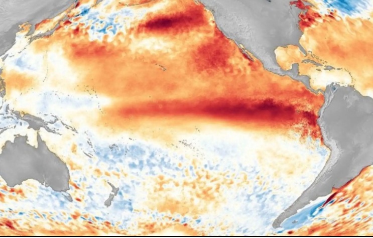OMM confirma que El Niño global se intensificará como evento fuerte entre agosto y octubre