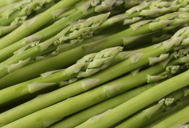Compradores brasileños interesados en oferta de alimentos peruanos