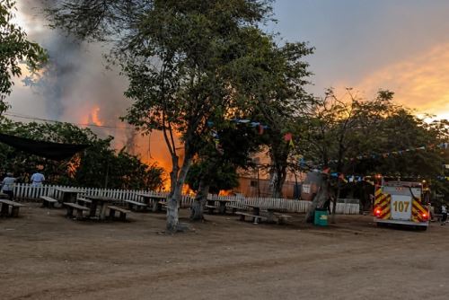 Incendio forestal afecta cerca de 5 hectáreas de cobertura natural en Vivero Forestal de Chimbote
