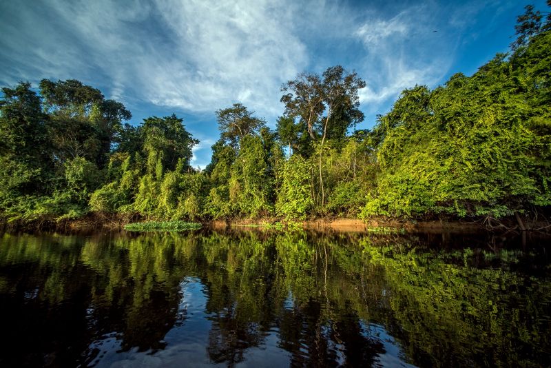 Fortalecen la conservación de bosques amazónicos con apoyo del MEF y la cooperación alemana