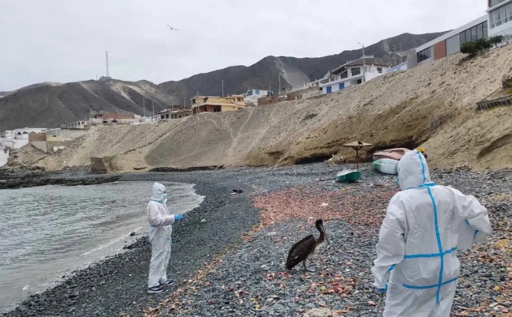 Instalan mesa técnica en Chimbote para afrontar al fenómeno El Niño en la Bahía del Ferrol