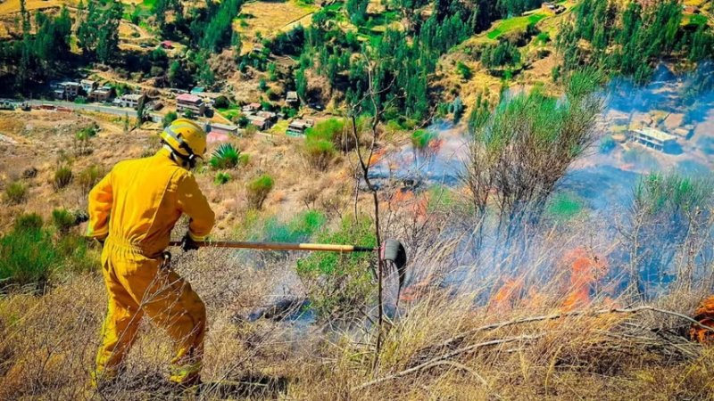 Áncash: incendio forestal consume 38 hectáreas de cobertura natural en Jangas