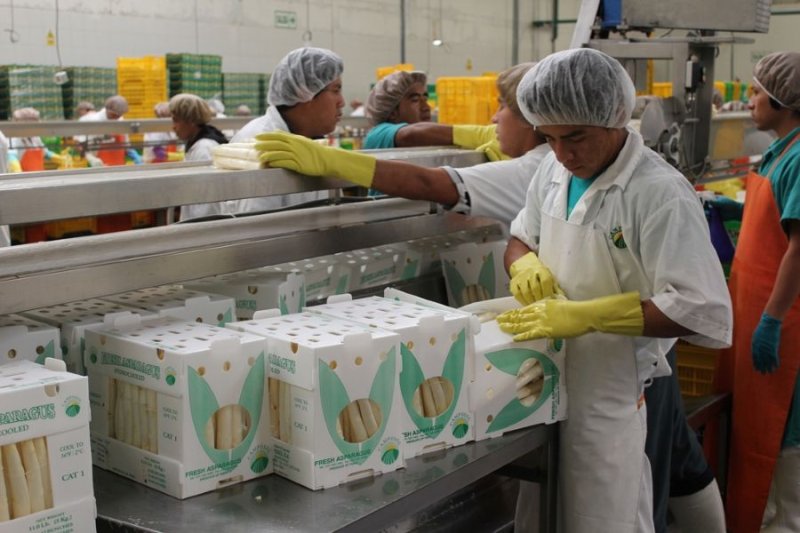 Se registraron más de 1 millón y medio de  empleos asociados a las exportaciones