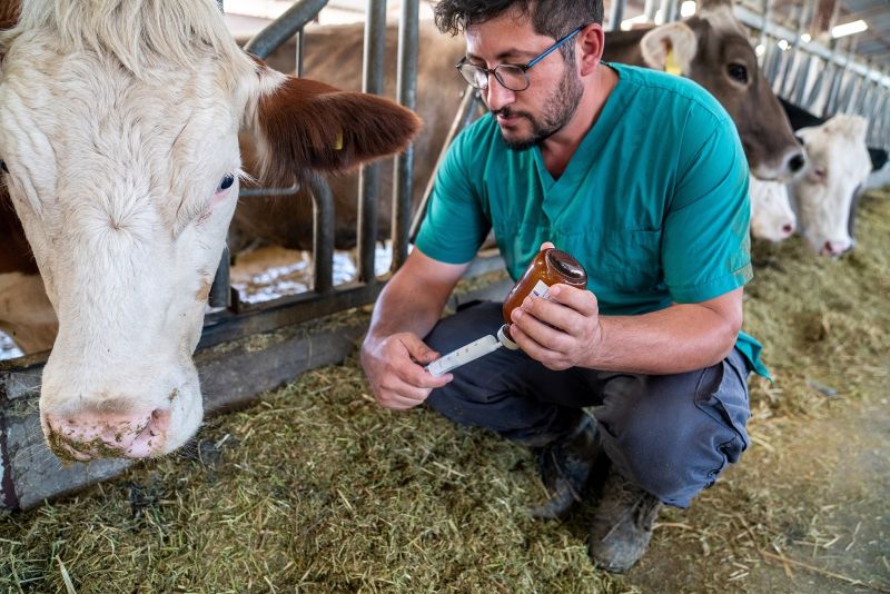Exportación de productos veterinarios mantienen buen comportamiento