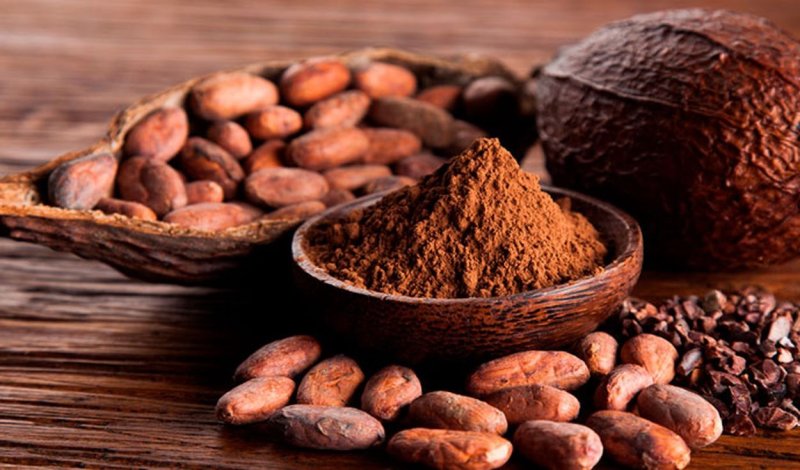 Gobierno peruano invierte más de S/ 28 millones para innovación de cadena productiva en cacao y chocolate