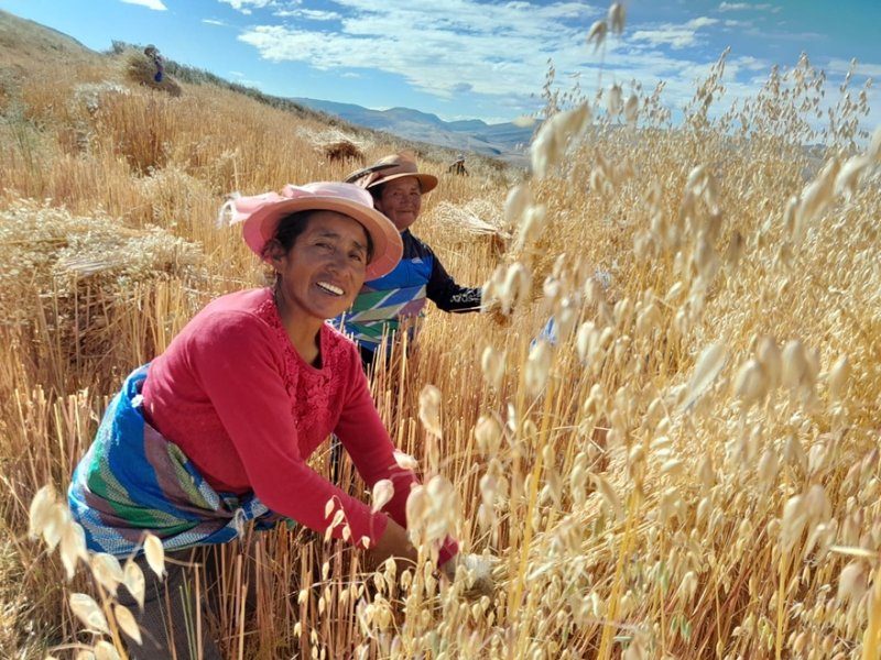 Más de 9 mil mujeres rurales fortalecen sus capacidades productivas con el INIA