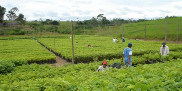 2014: Año Internacional de la Agricultura Familiar