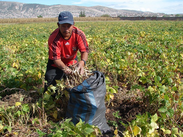 Mensaje por el Día del Campesino