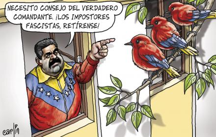 Carlincatura - 19/02/2014